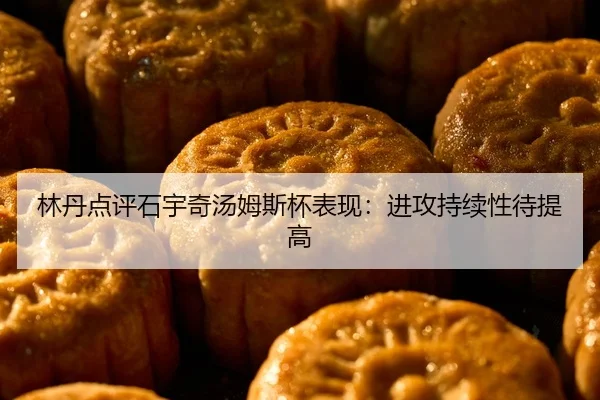 林丹点评石宇奇汤姆斯杯表现：进攻持续性待提高