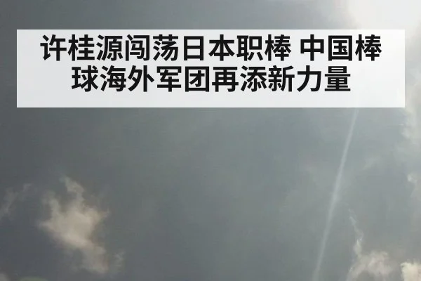 许桂源闯荡日本职棒 中国棒球海外军团再添新力量