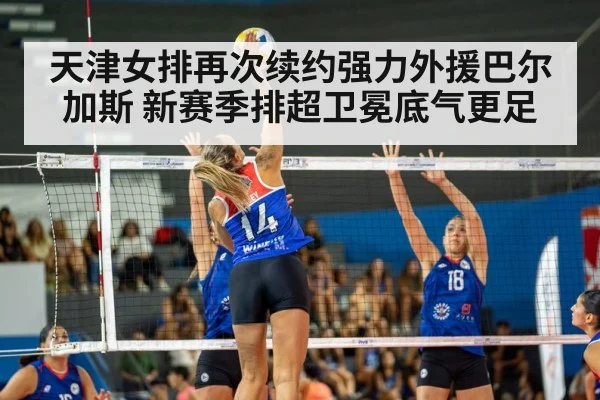 天津女排再次续约强力外援巴尔加斯 新赛季排超卫冕底气更足